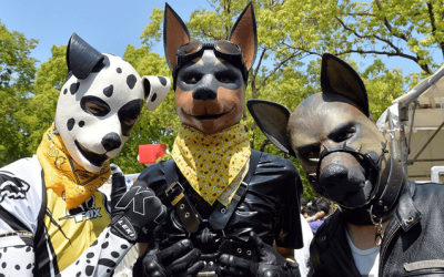 What is Pup Culture? Exploring the Meaning of Pup in Gay Culture