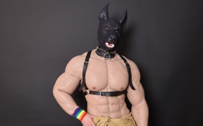 Why Is Pup Play So Popular？A Beginner’s Guide to Pup Play & Gear