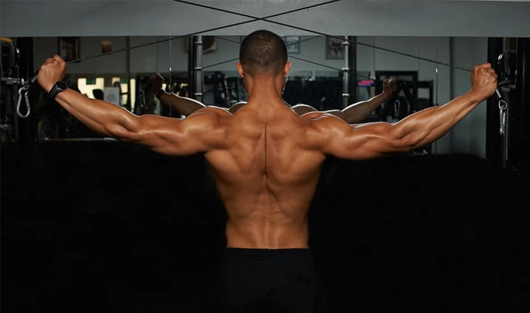 Train Your Back! My 3 Favourite Back Exercises — APEX Training Centre