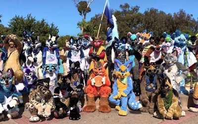 Fursuit Etiquette: Do’s and Don’ts in the Community