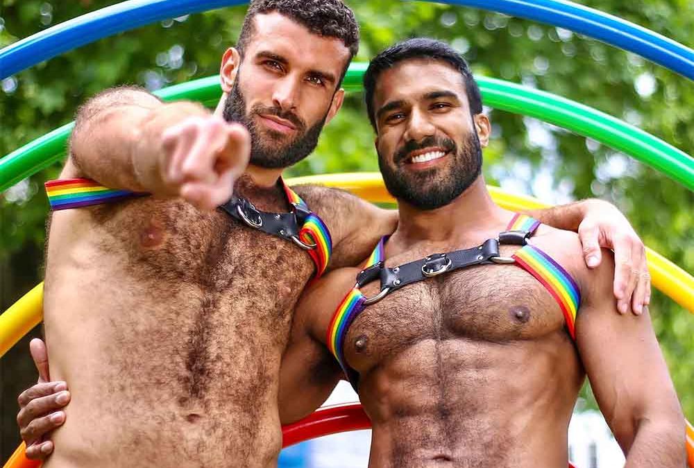 Unveiling Harnesses: Gay Men Gateway to Confidence and Expression
