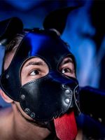 How to Train and Care for Your Pet in Gay Pet Play BDSM