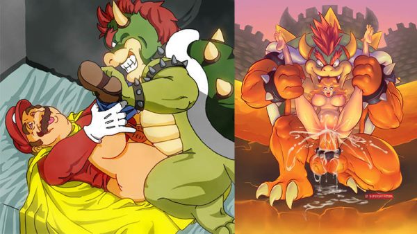 bowsers furry