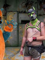 What_is_the_Difference_Between_a-Furry-and-Pup_Play_1